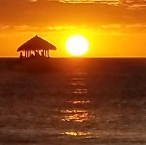 Meet your Posher, Joe